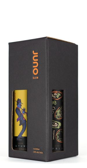 Artist Series 5: Having Fun 2025